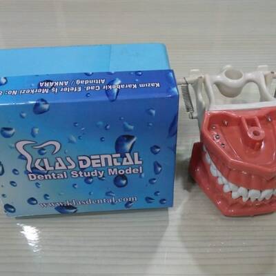 Klas Dental Fantom Çene